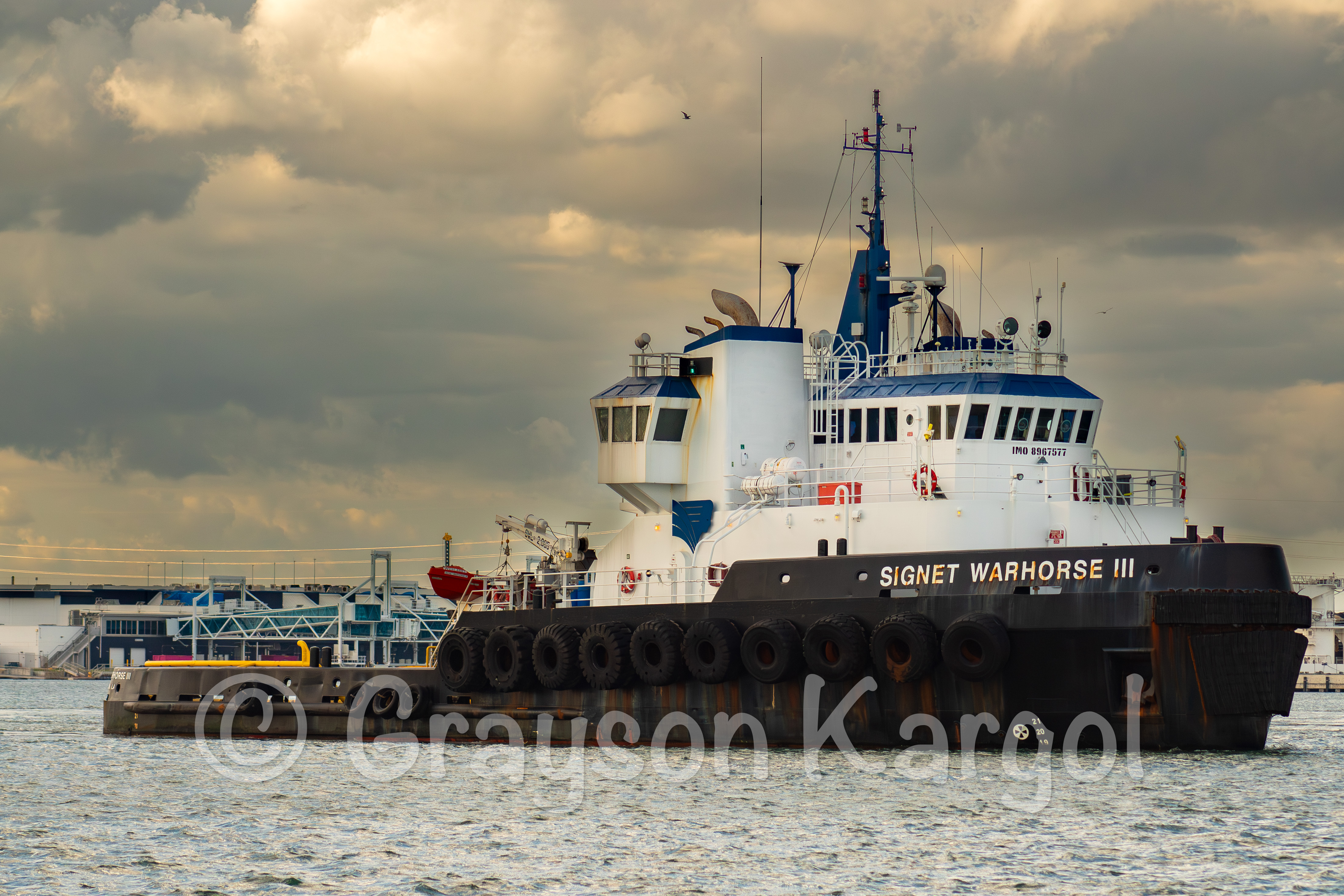 Signet Warhorse III @ Port Canaveral on 10/16/25